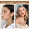 Paleta De Sombras De Ojos Mate Y Brillantes Kit Resistente