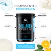 Colágeno Hidrolizado Biotina Magnesio Ácido Hialurónico Vitamina Polvo Porciones Alta