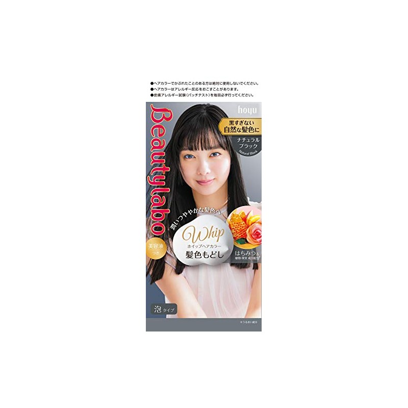 Hoyu Beauty Lab Whip Hair Color (Natural Black Hair Color)