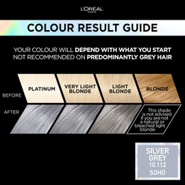 L'Oréal Paris Permanent Hair Colour, Long-Lasting Shine and Intense Colour, For up to 8 Weeks, Preference Vivids (Colorista), Silver Grey 10.11, x1 pack