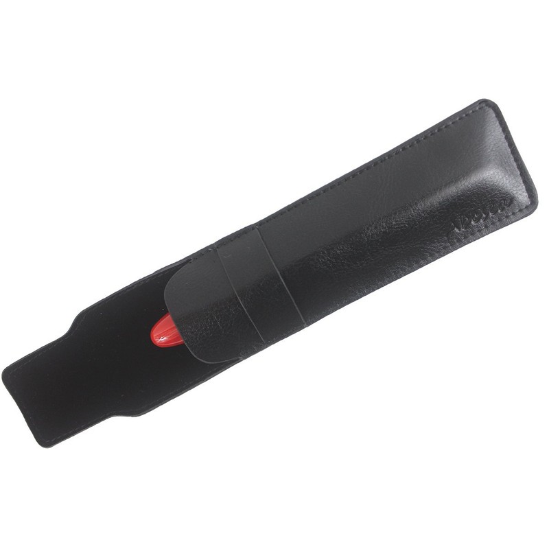 Abcsea Expert Deluxe Fountain Pen with Pen Pouch, Big Barrel