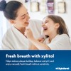 XyloBurst Hydroxyapatite Toothpaste with Xylitol - Fluoride-Free Hydroxyapatite Toothpaste, SLS-Free,