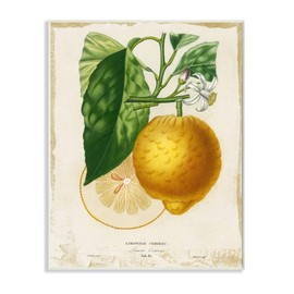 Stupell Industries Yellow Lemon Citrus Blossom with French Script Wood Art by Studio W Wall Plaque, 10 x 15