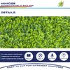 Windscreen4less 1 PC 20"x20" Artificial Boxwood Panels Faux Plant Grass