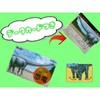 Kodansha Supervised MOVE Dinosaur Figure [Diplodox] MV-D09