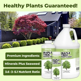 Maple Tree Fertilizer, Complete Liquid Maple Tree Plant Food, 8 oz (250mL)