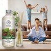 Reed Diffuser Refill Cedarwood 17 Fl Oz (500ml) - Scented