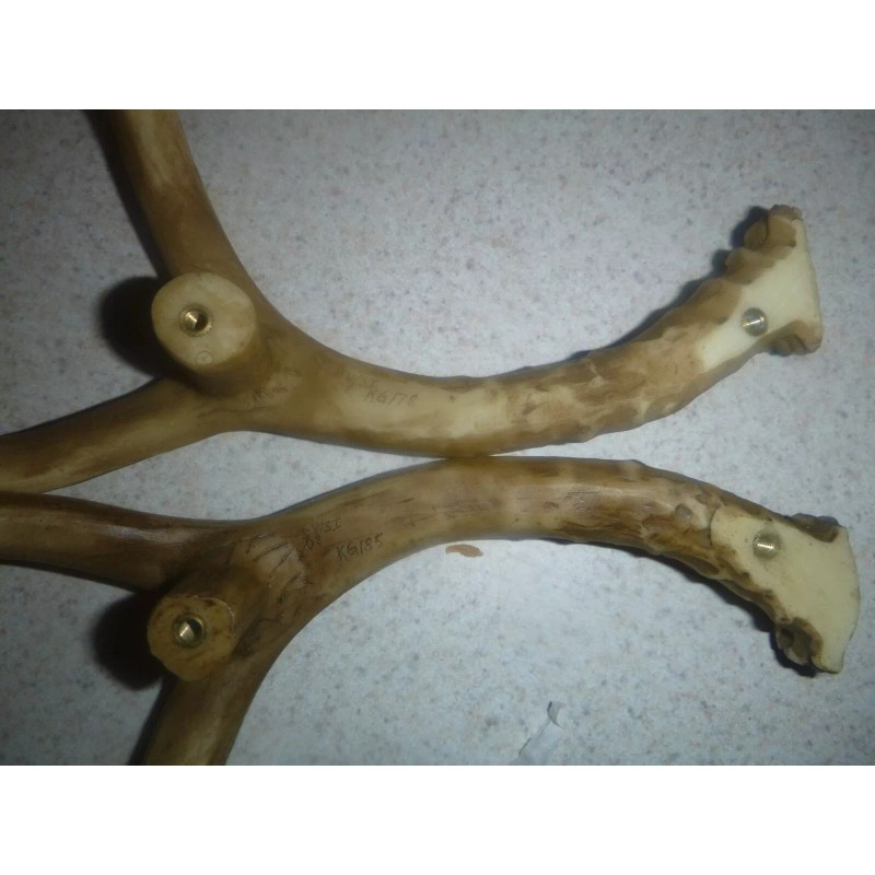Wind River Set of 2 Cabin Lodge 9 1/4" Faux