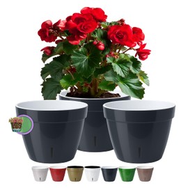 Santino ASTI Set of 3 18 cm Self-Watering Flower Pots with Water Level Indicator for Plants, Flowers, Herbs (Diameter 18 cm, Height 14 cm, 2.5 Litres, Anthracite/White)