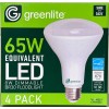 Greenlite 4x NEW Floodlights BR30 Light Bulbs 8w LED 65w