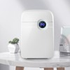 Gdrasuya10 Mini Dehumidifier, 42W Silent Mini Space Dehumidifier Auto Shut