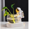 Astronaut Planter, Spaceman Glass Vase，Astronaut Resin Hydroponics Flower Vases，Led Light