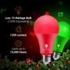 4 Pack BlueX LED A21 Red Green Light Bulbs -