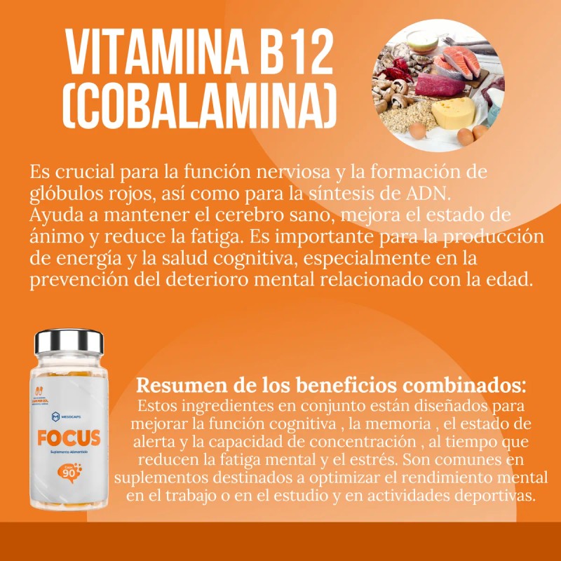 Suplemento Natural Focus 90 Cápsulas Para La Concentración