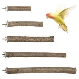Woohome 5 PCS Perch Bird Stand Toy Natural Wood Platform Natural Wood Bird Perch Stand for Small Birds Cockatiels Lovebirds Budgie Parrot