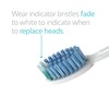 TAO Clean Daily Care Whitening Replacements Heads - White -
