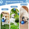 2 Pcs Shaky Ball Toy for Dogs, 2025 New Vibrating