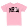 Merida Collegiate Toddler Kids T-Shirt 2T Light Pink