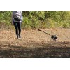 Cardio Dog Hands Free Running Dog Leash/Lead Bungee with Pouch