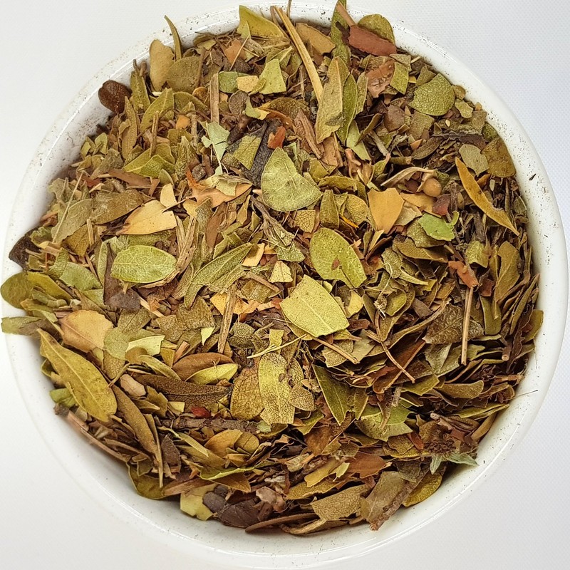Herba Organica - Common Bearberry Leaf - Arctostaphylos Uva-Ursi L