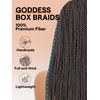 GORGIUS Braided Lace Front Wigs Pre Plucked Knotless Box Braid