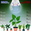 Candelabra LED Plant Grow Light Bulbs E12 Indoor Plants Full