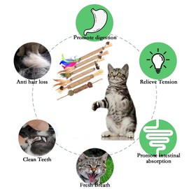 wonderflower Natural Silvervine Cat Chew Sticks, Feathered Cat Toys, 6-Piece Set