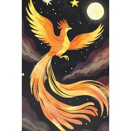Phoenix Night Flight: 150 Page Lined Journal