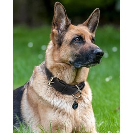 Joytale Leather Dog Collar for Large Dogs, Genuine Heavy Duty Wide Dog Collar with QR ID Tag, Soft Metal Buckle Collars, Black, XL