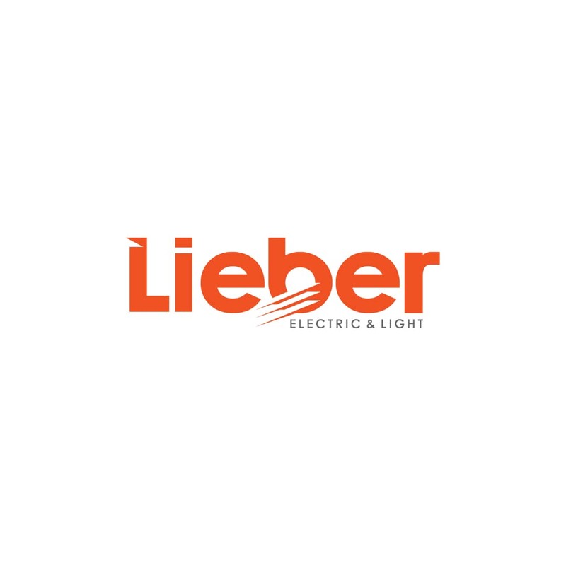 LIEBER Graphite Grey GU10 Fire Rated IP65 Downlight LED for