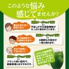 オリヒロ 国産オーガニック青汁 30包 オーガニック 大麦若葉 モロヘイヤ 桑の葉 ケール はと麦若葉 抹茶