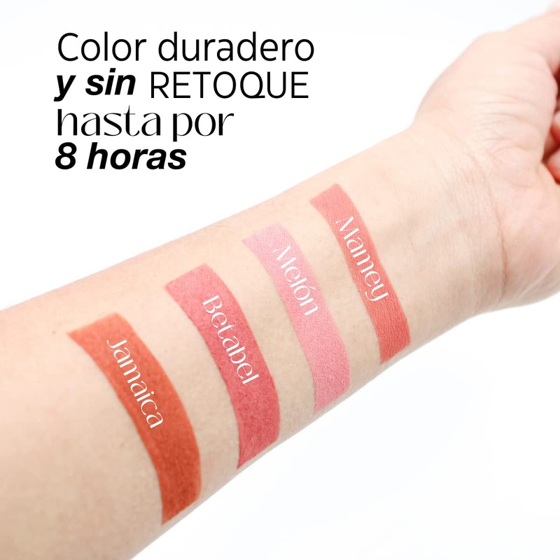 Rubor en polvo mate piel grasa/mixta, blush multiusos, larga duración