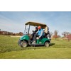 Compact Stainless Steel Telescopic Golf Ball Retriever and Grabber with