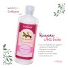 Shampoo Renovador Anticaida Colageno 1lt. Florigan