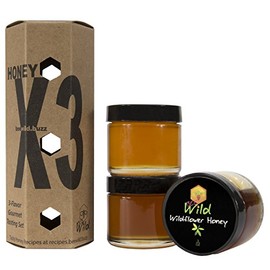 Bee Wild 100% Pure Raw Organic Unfiltered 3 Flavor Gourmet Tasting Set Honey - Wildflower, Sourwood & Gallberry