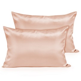 Fittia Satin Pillow Cases 2 Pack Queen, Satin Pillowcase for Hair and Skin with Zipper, Smoother & Softer Than Silk for Summer Cooling, Light Plum, 20''x30''
