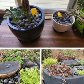 2.4LB River Rocks Mexican Beach Pebbles for Garden Landscape Stone Paving Stone Grey (1Inch)