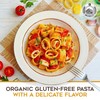 Morelli Mezzi Paccheri Organic Pasta - Italian, Gourmet, Large Circle