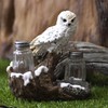 Pacific Giftware Snowy Owl Perching On Tree Branch Spiritual Realistic