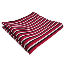 TigerTie Designer Pocket Square in Striped Pattern - Pocket Square Size 30 x 30 cm, Red, white, black