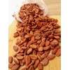 Cacao Kaban Granos 100% Calidad Premium 1 Kilo