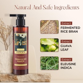 Abera Fermented Rice Shampoo – Anti Hair Loss & Supports Hair Regrowth – Strengthens Thinning & Damaged Hair – 6.09 fl oz