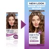Clairol Nice'n Easy Tone+Gloss Semi Permanent Hair Dye - 600/755