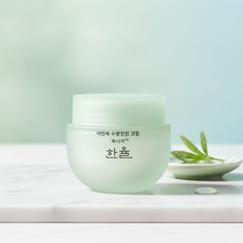 Hanyul 한율 어린쑥 수분진정 크림 55ml(신형) 2개 / 한율 어린쑥 수분진정 크림 55ml(신형) 2개