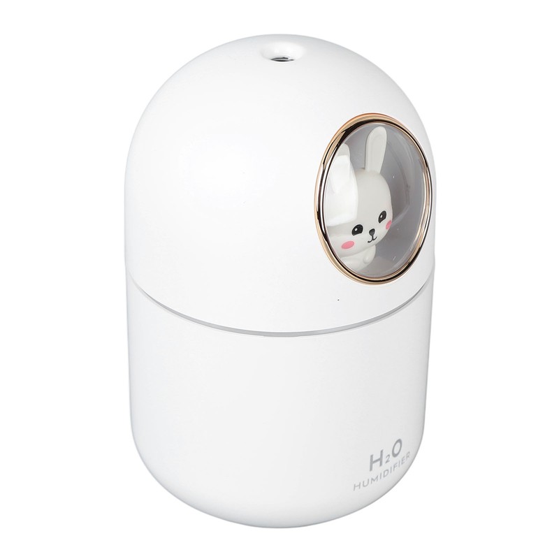Humidifier Aroma Diffuser USB Power Supply 300ml Capacity Auto Shutdown