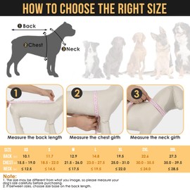 SlowTon Dog Raincoat, Adjustable Dog Rain Jacket Clear Hooded Double Layer, Waterproof Poncho with Reflective Strip Straps and Storage Pocket for Small Medium Large Dog (Yellow XL)