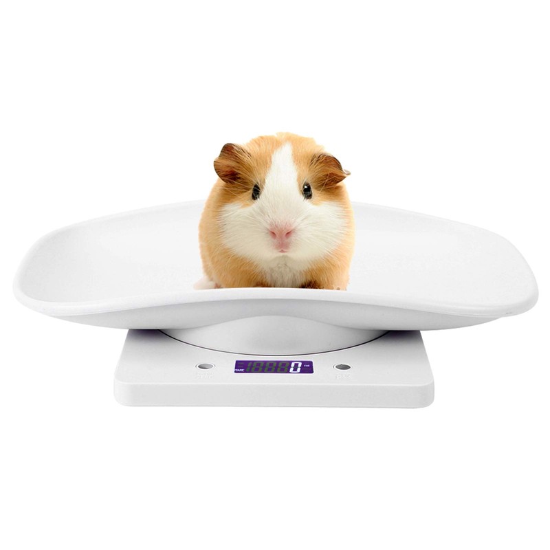 Digital Pet Scale, Multifunctional Electronic Scales Pet Scales 10kg/1g Digital