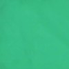 AZ FLAG Race officer green Flag 18'' x 12'' cords