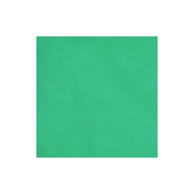AZ FLAG Race officer green Flag 18'' x 12'' cords