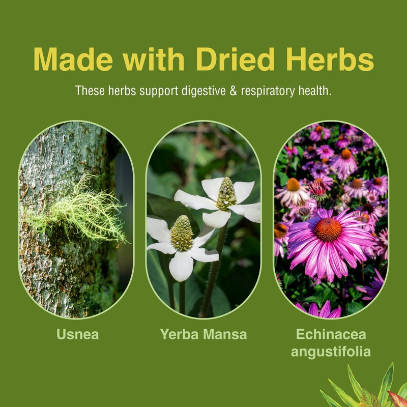 Herbs Etc. Phytocillin - Respiratory & Digestive Health Support Supplement